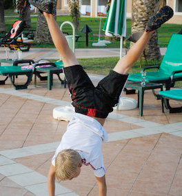 ������ 2010